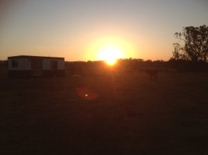 IMG_3403 (FILEminimizer)