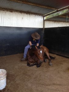 IMG_3417 (FILEminimizer)