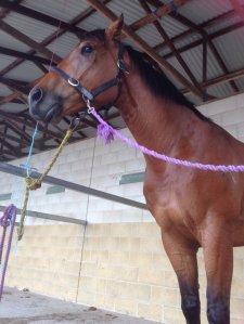 IMG_3444 (FILEminimizer)