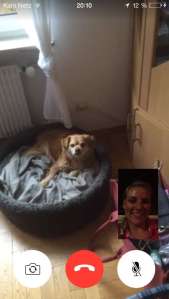 IMG_3446 (FILEminimizer)