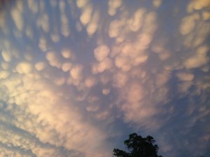 IMG_3457 (FILEminimizer)