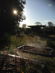 IMG_3530 (FILEminimizer)