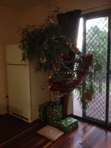 IMG_3533 (FILEminimizer)