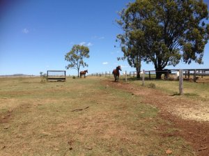 IMG_3543 (FILEminimizer)