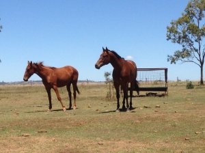 IMG_3547 (FILEminimizer)