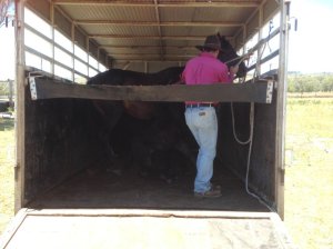 IMG_3552 (FILEminimizer)