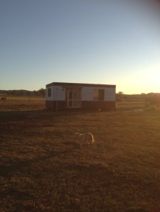 IMG_3567 (FILEminimizer)