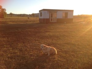 IMG_3569 (FILEminimizer)