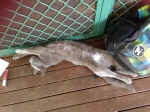 IMG_3665 (FILEminimizer)