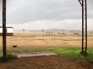 IMG_3668 (FILEminimizer)