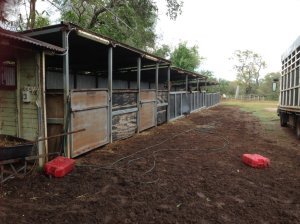 IMG_3685 (FILEminimizer)