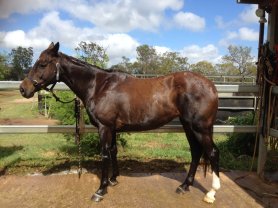 IMG_3703 (FILEminimizer)