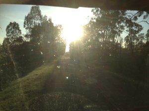 IMG_3769 (FILEminimizer)