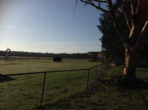 IMG_3771 (FILEminimizer)