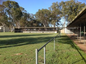 IMG_3772 (FILEminimizer)