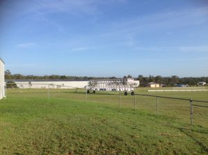 IMG_3773 (FILEminimizer)