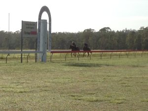 IMG_3777 (FILEminimizer)