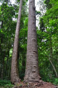 DSC_0004 (FILEminimizer)