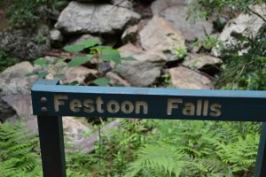 DSC_0015 (FILEminimizer)