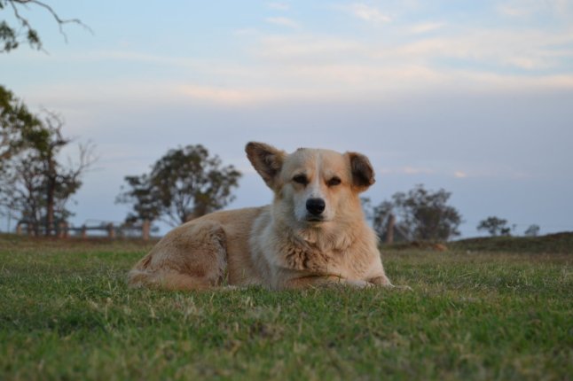 DSC_0027 (FILEminimizer)