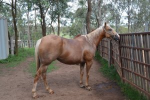 DSC_0028 (FILEminimizer)