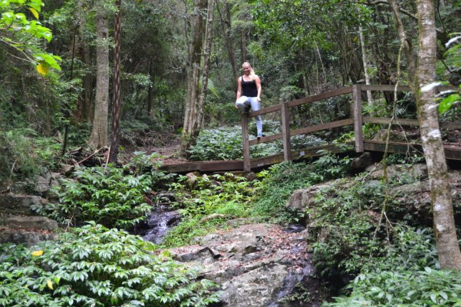 DSC_0033 (FILEminimizer)