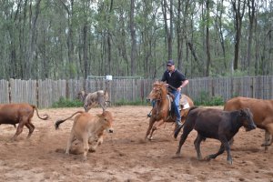 DSC_0035 (FILEminimizer)