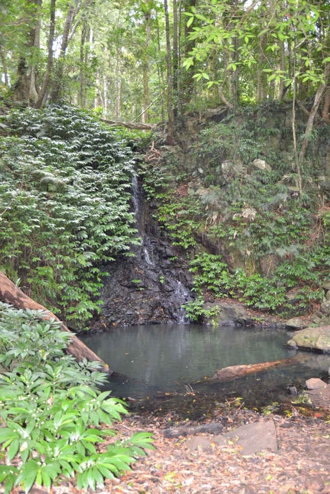 DSC_0039 (FILEminimizer)