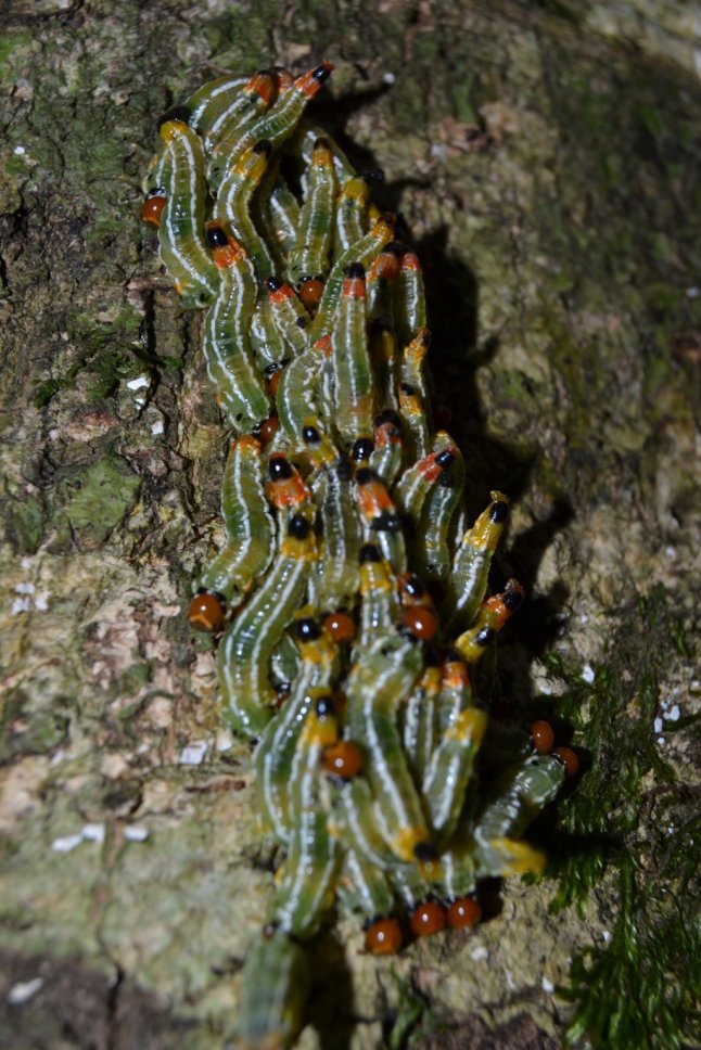 DSC_0041 (FILEminimizer)