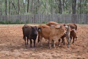 DSC_0064 (FILEminimizer)