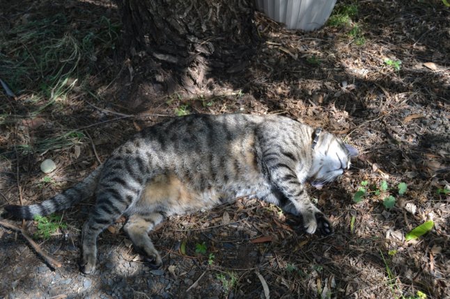 DSC_0160 (FILEminimizer)