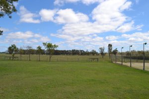 DSC_0166 (FILEminimizer)