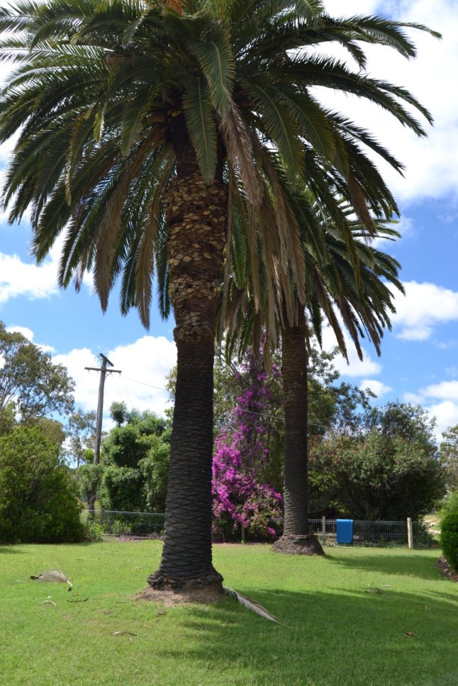 DSC_0168 (FILEminimizer)