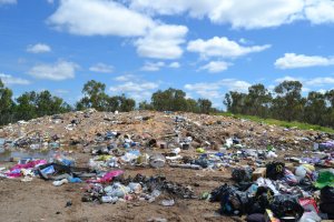 DSC_0171 (FILEminimizer)