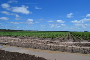 DSC_0176 (FILEminimizer)