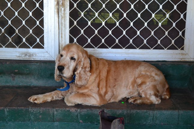 DSC_0182 (FILEminimizer)