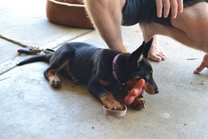 DSC_0193 (FILEminimizer)