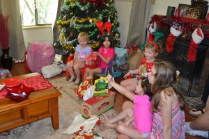 DSC_0223 (FILEminimizer)