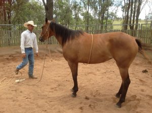 IMG_3873 (FILEminimizer)