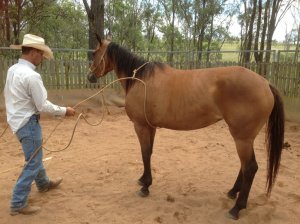 IMG_3876 (FILEminimizer)