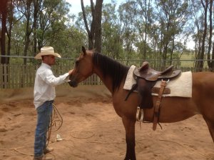 IMG_3887 (FILEminimizer)