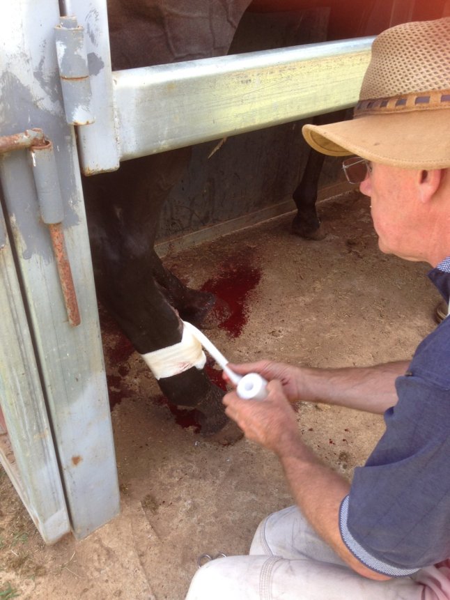 IMG_3942 (FILEminimizer)