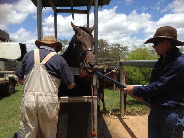 IMG_3945 (FILEminimizer)