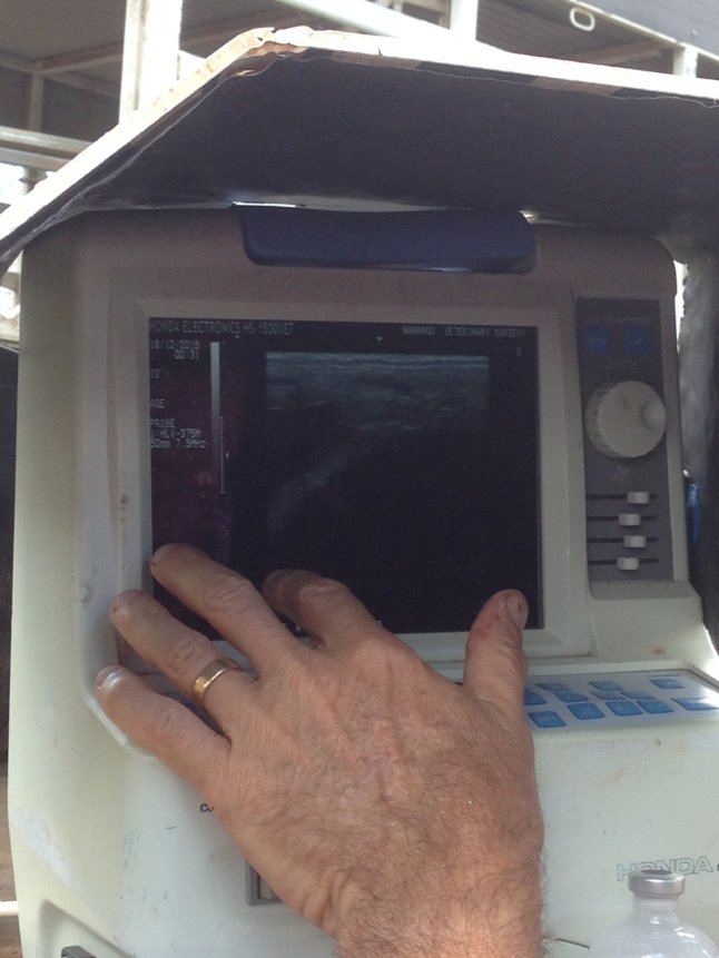 IMG_3947 (FILEminimizer)