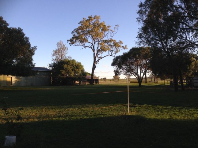 IMG_3949 (FILEminimizer)