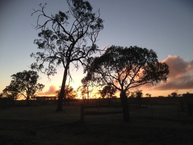 IMG_3954 (FILEminimizer)