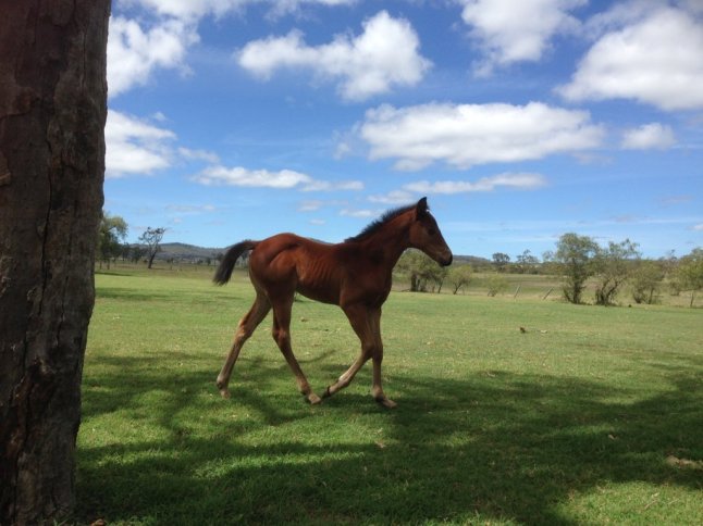 IMG_3966 (FILEminimizer)