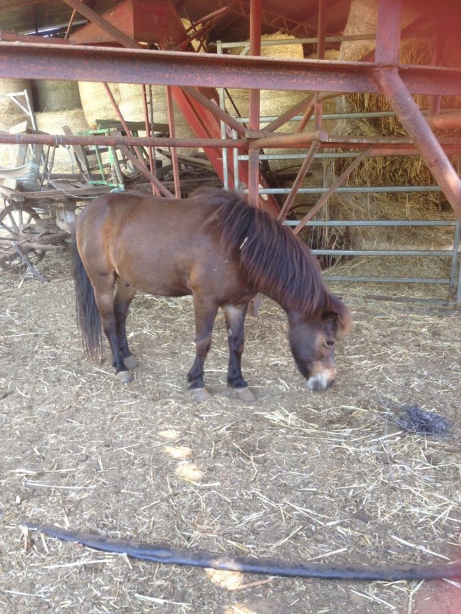 IMG_3989 (FILEminimizer)