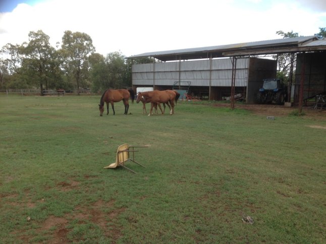 IMG_3997 (FILEminimizer)