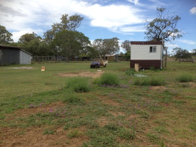 IMG_4006 (FILEminimizer)